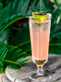 Cocktails